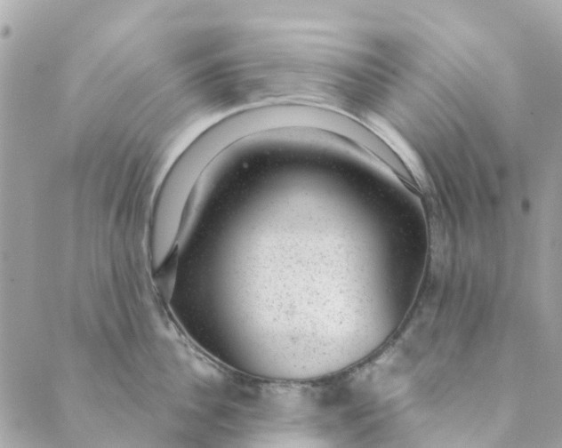 X0000088900956200706291501