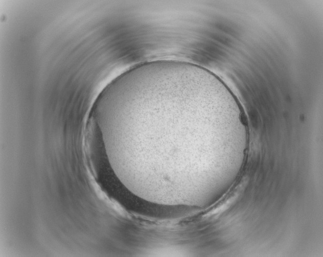 X0000088900957200706291501