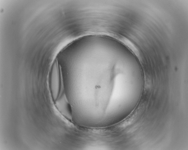 X0000088900958200706291501