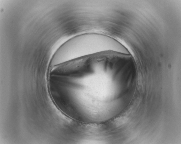 X0000088900959200706291501