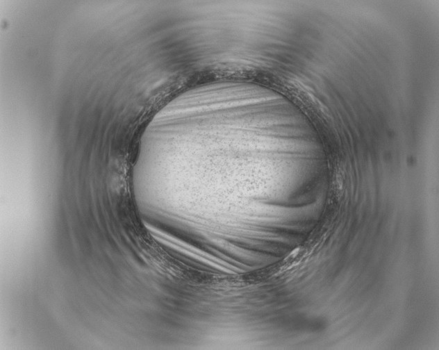 X0000088900964200706291500