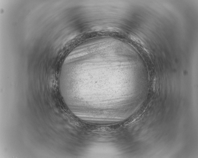 X0000088900966200706291500