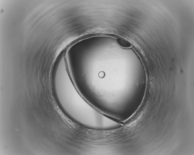 X0000088900981200706291500