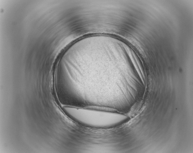 X0000088900982200706291500