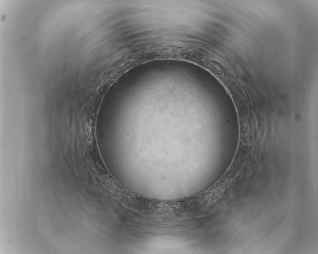 X0000088901013200706291459