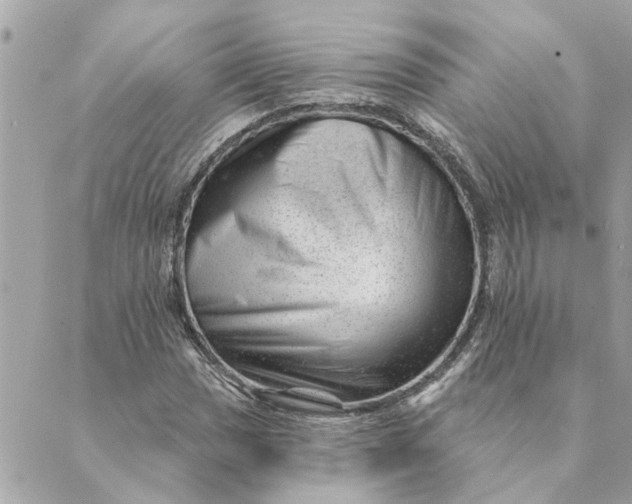 X0000088901017200706291459