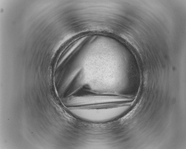 X0000088901021200706291459