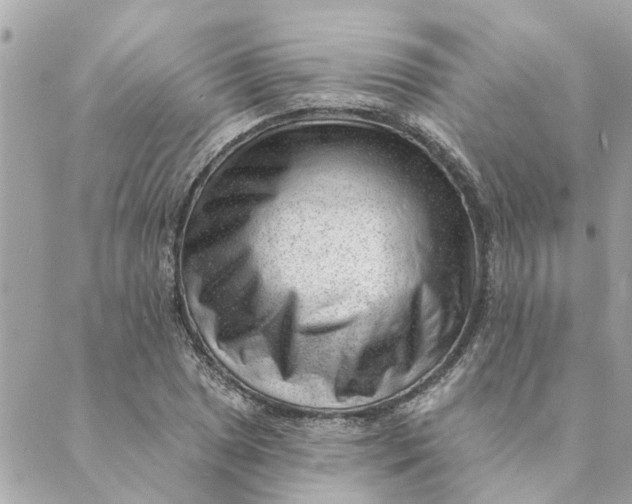 X0000088901025200706291459