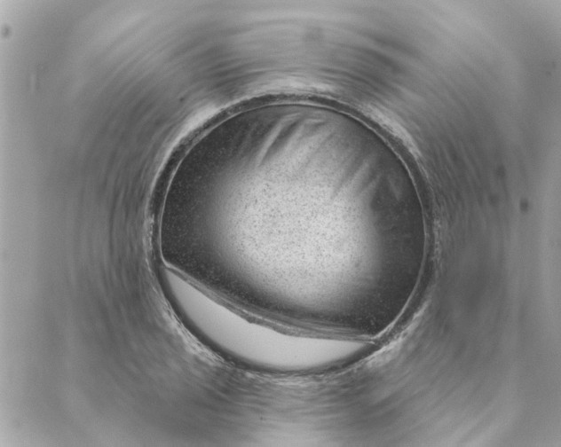 X0000088901029200706291459