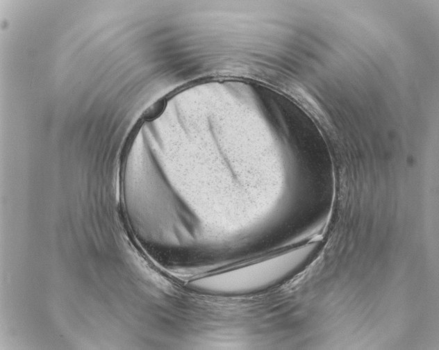 X0000088901036200706291459