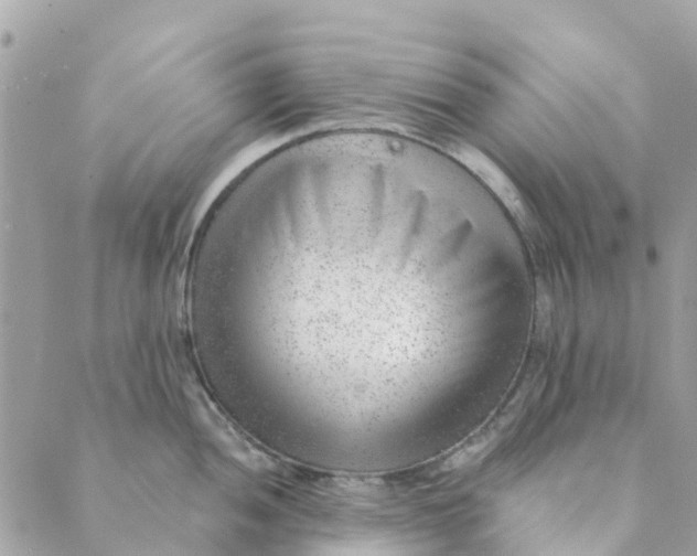 X0000088901052200706291500