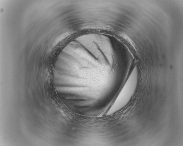 X0000088901064200706291459