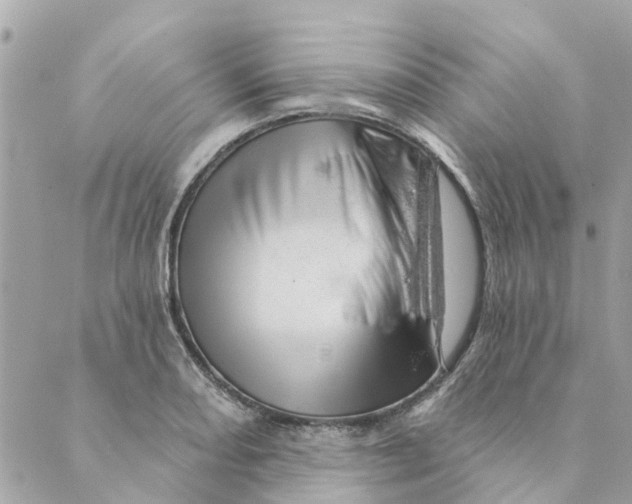 X0000088901082200706291459