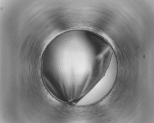 X0000088901102200706291458