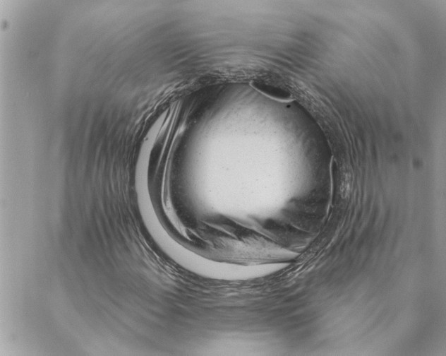 X0000088901108200706291457