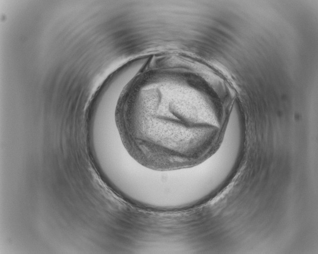 X0000088901118200706291458