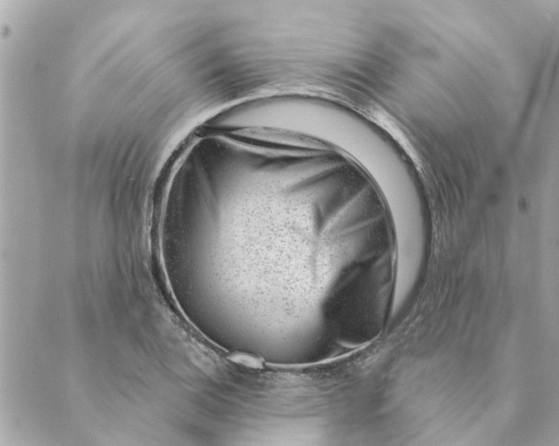 X0000088901124200706291458