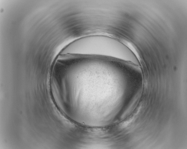 X0000088901149200706291458