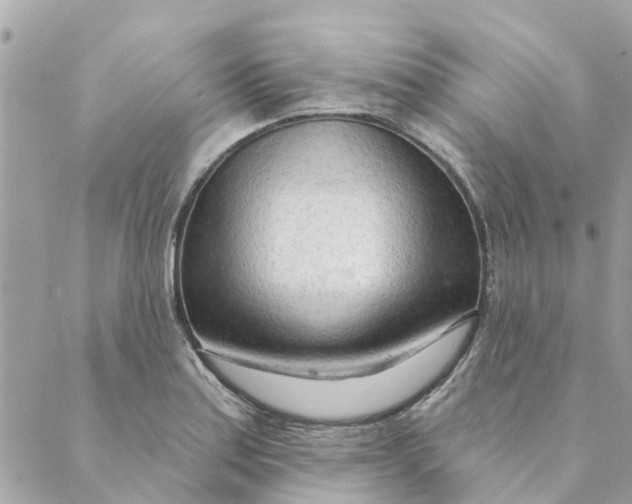 X0000088901179200706291457