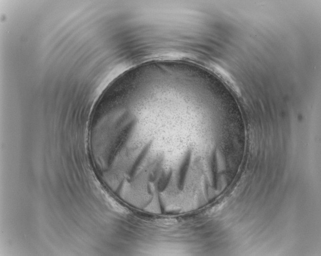 X0000088901186200706291457