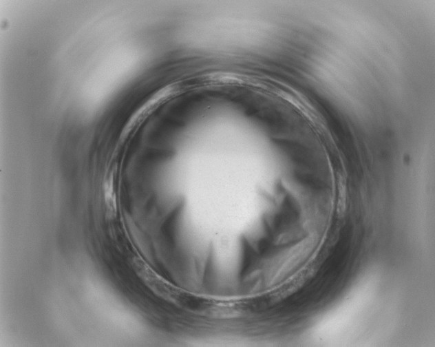 X0000088901198200706291457