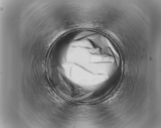 X0000088901212200706291456