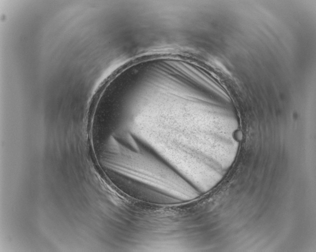 X0000088901216200706291456