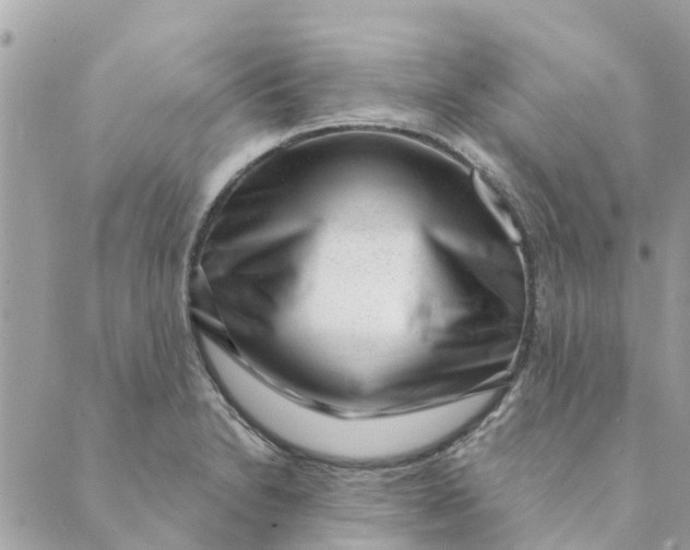 X0000088901230200706291456