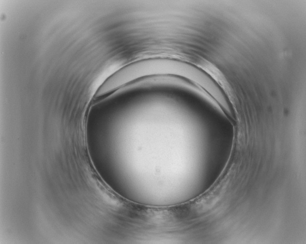 X0000088901242200706291457