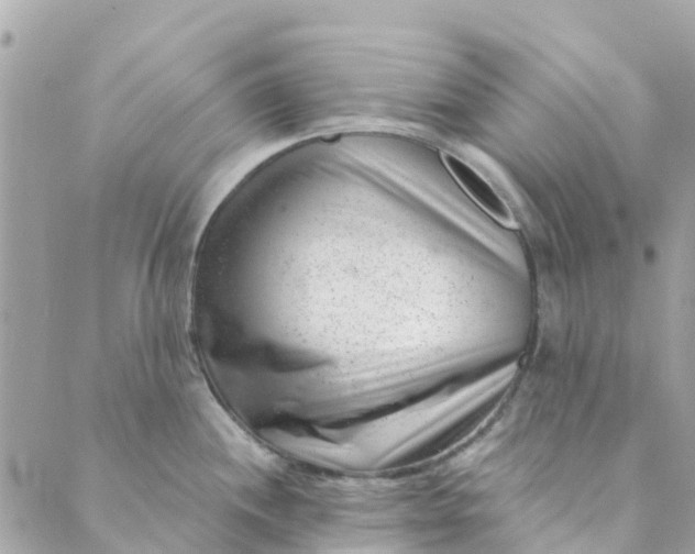X0000088901244200706291457