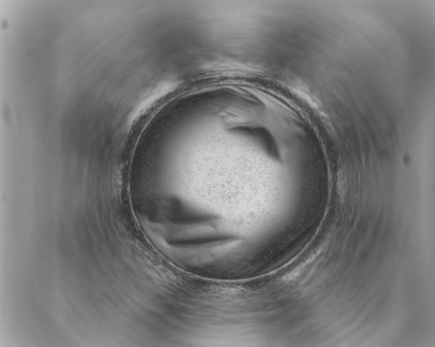 X0000088901309200706291454