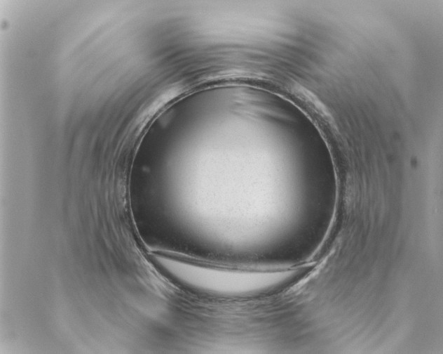 X0000088901321200706291455