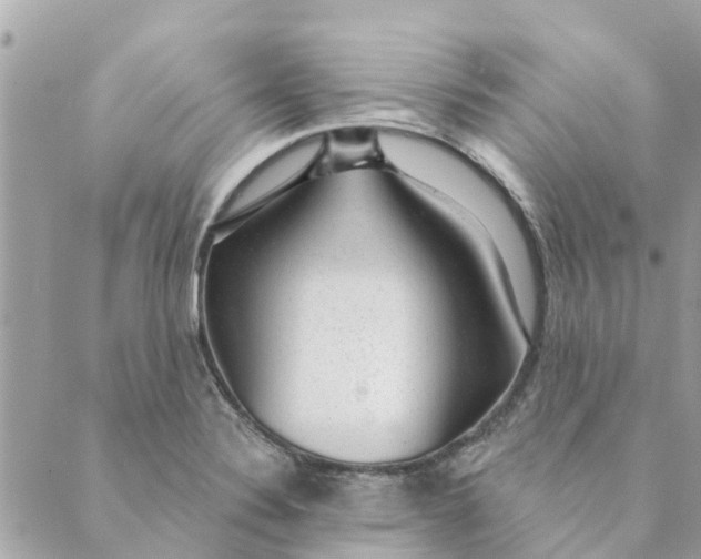X0000088901324200706291455