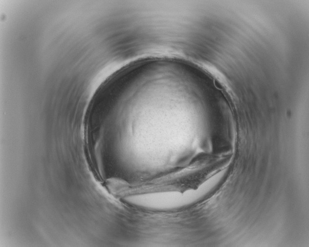 X0000088901335200706291455