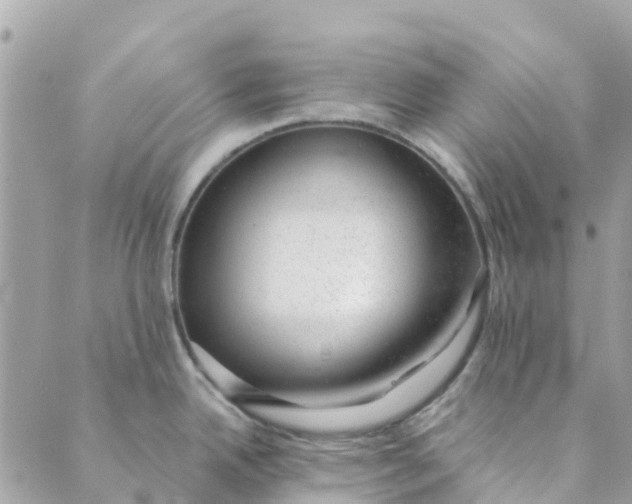 X0000088901342200706291455