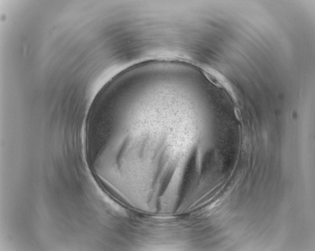 X0000088901343200706291455