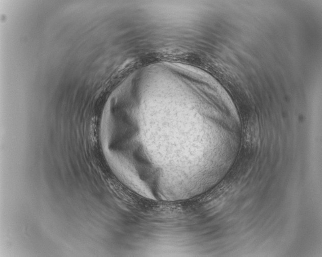 X0000088901346200706291454