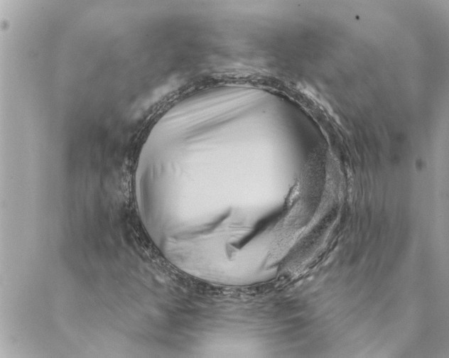 X0000088901350200706291454