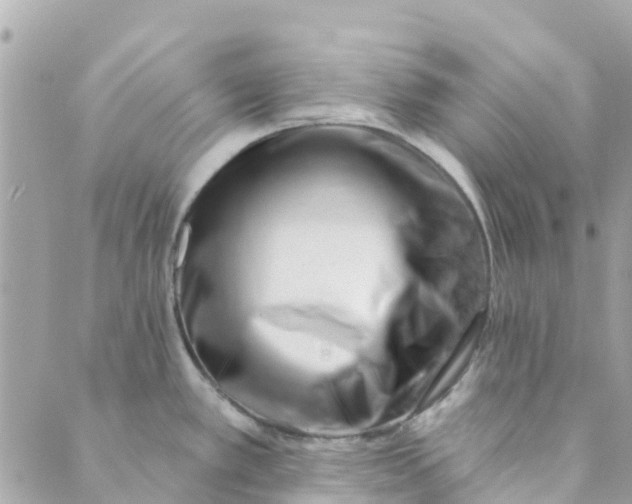 X0000088901389200706291454