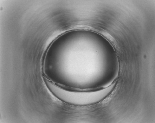 X0000088901430200706291453