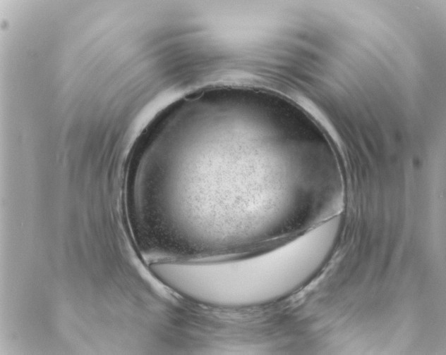 X0000088901437200706291453