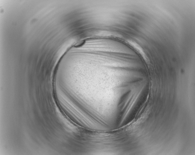 X0000088901475200706291452