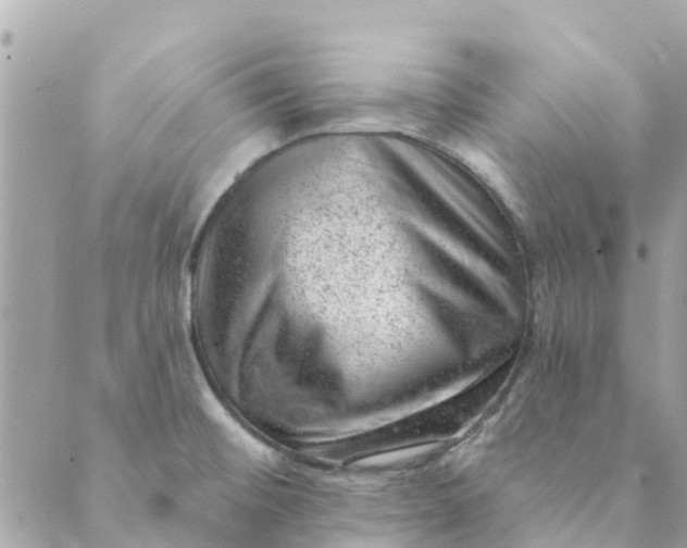 X0000088901476200706291452