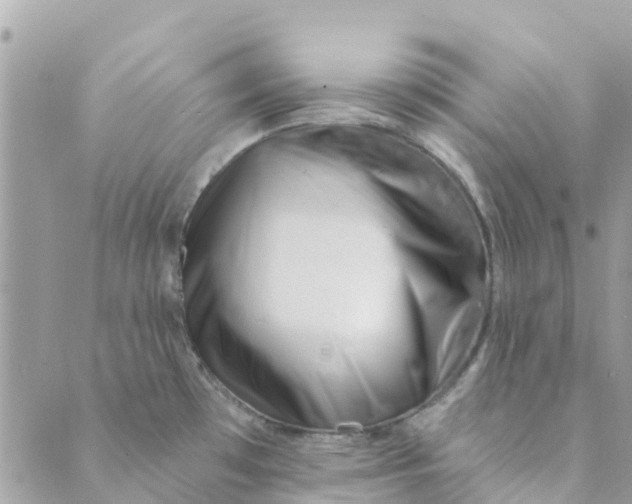 X0000088901481200706291452