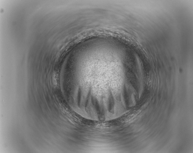 X0000088901490200706291451