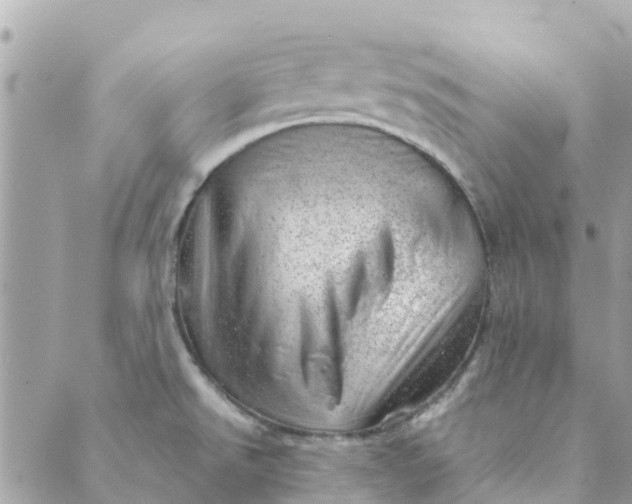 X0000088901526200706291452