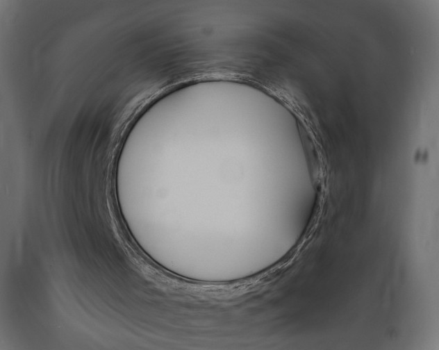 X0000088900001200707061505