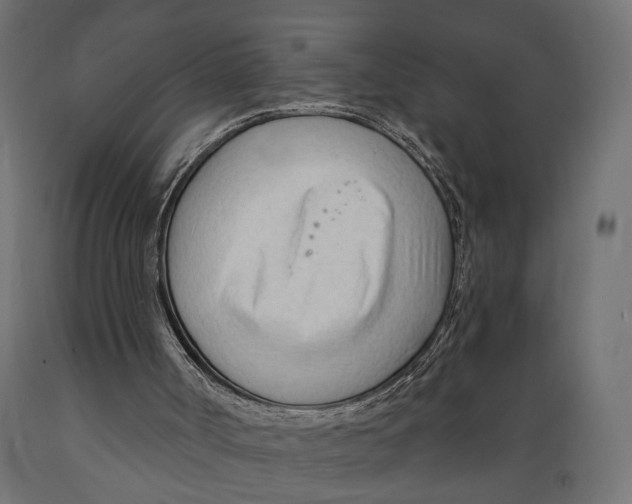 X0000088900002200707061505