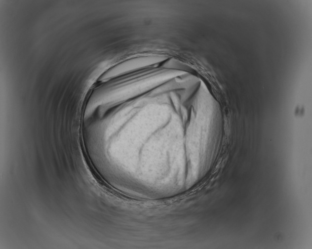 X0000088900003200707061505