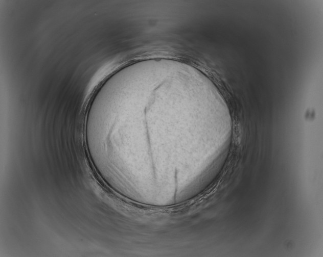 X0000088900004200707061505